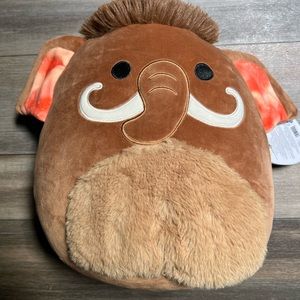 NWT Original Squishmallows Chienda